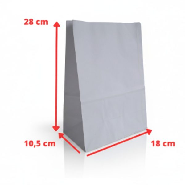 1764178553274-saco branco P